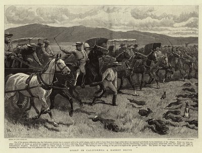カリフォルニアのスポーツ、ウサギのドライブ 作： John Charlton